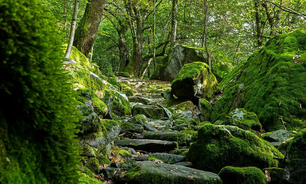 Wandern im Maggiatal – 5 Routen ab Cevio