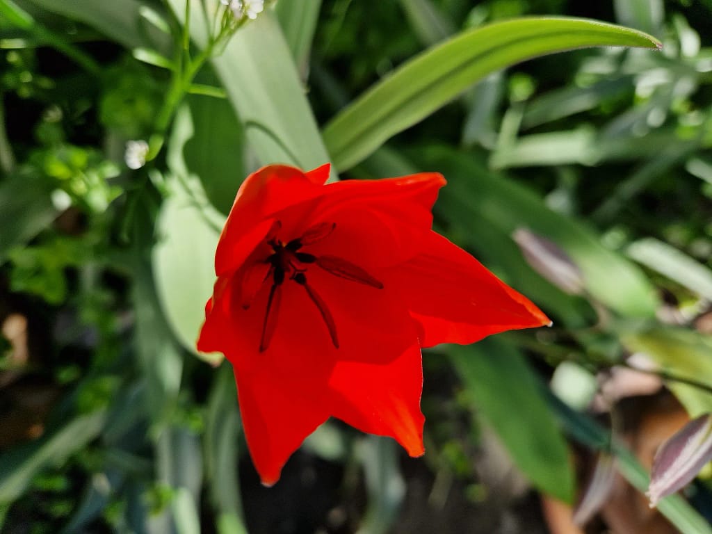 Wohnung N°3 7 20230402 101905