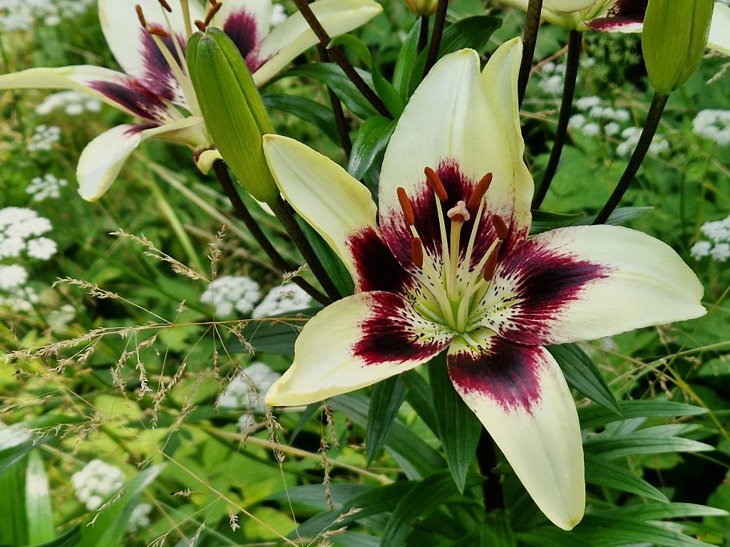 Wohnung N°2 9 20230618 134208