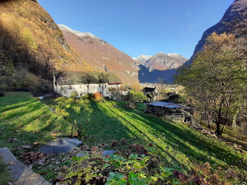 Terrassengarten 1 20221118 091442