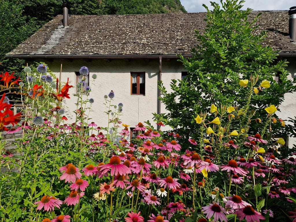 Home 24 20230721 085409