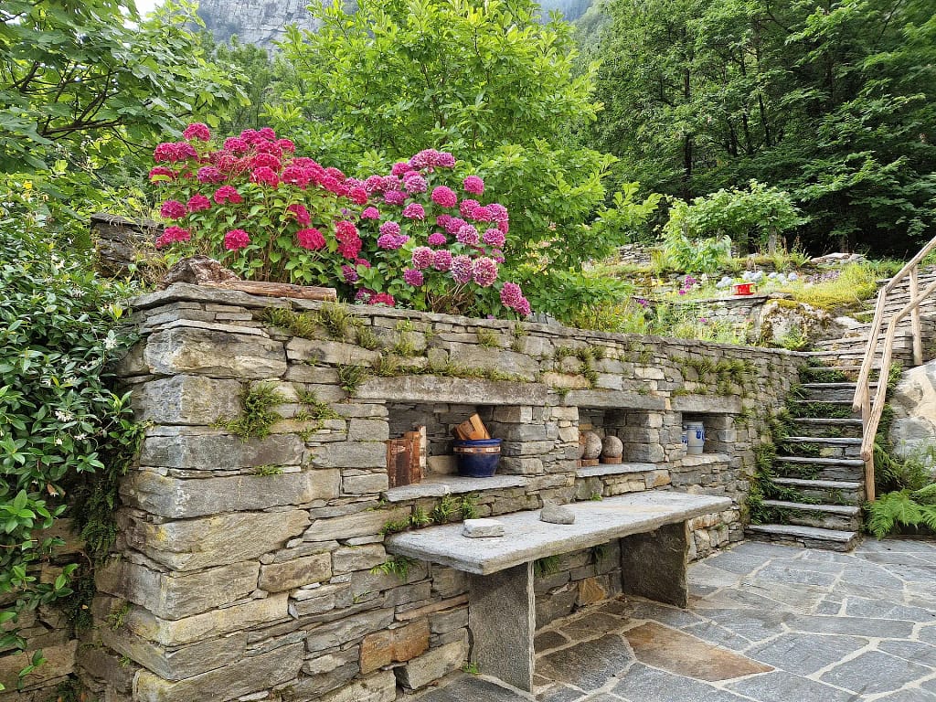 Terrassengarten 8 20230721 090248