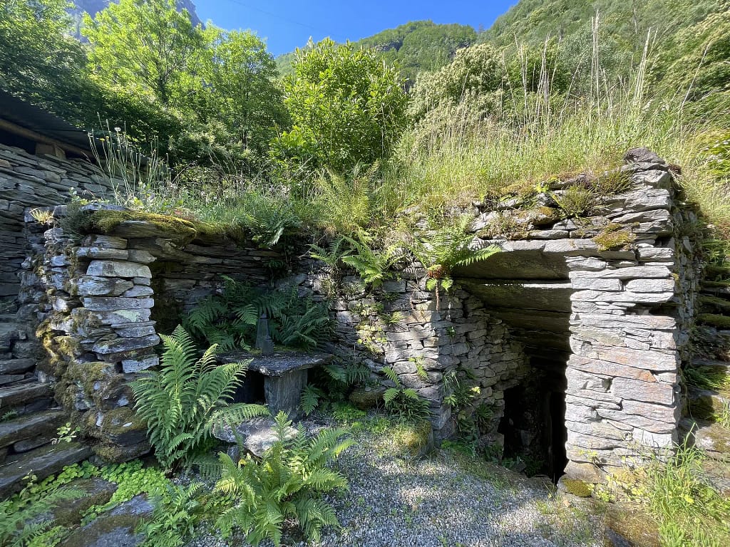 Terrassengarten 5 IMG 3718