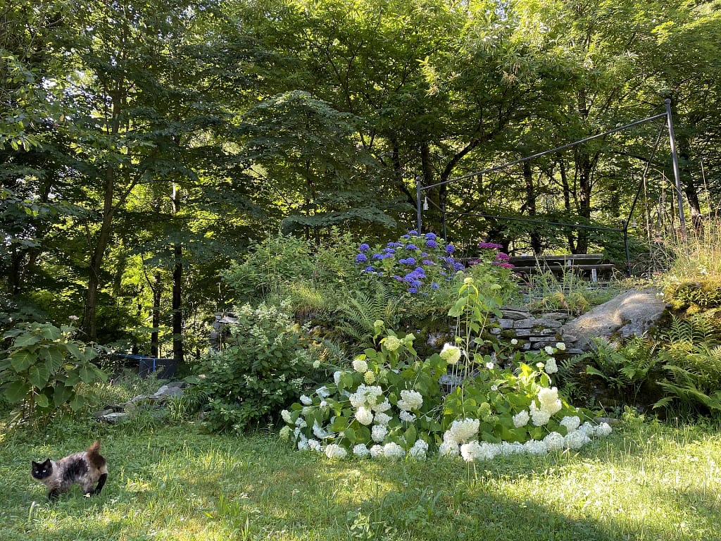 Terrassengarten 11 IMG 3783