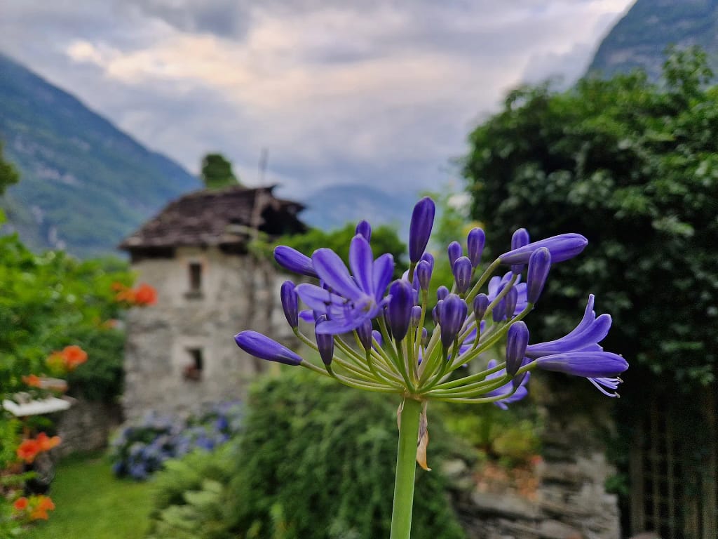 Home 23 20230715 184840