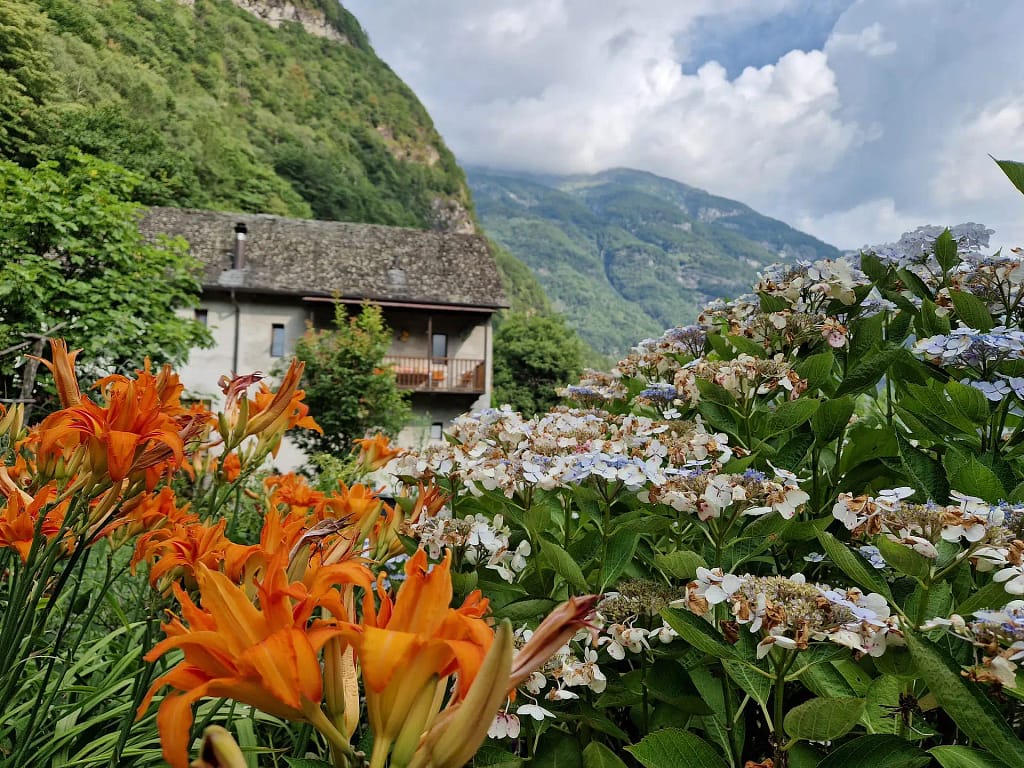 Home 20 3d9fcc11 cc72 43a6 ad37 2eda8400e0f9