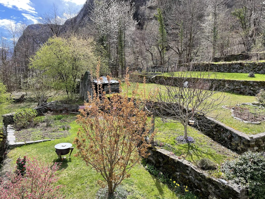 Wohnung N°5 9 IMG 2894