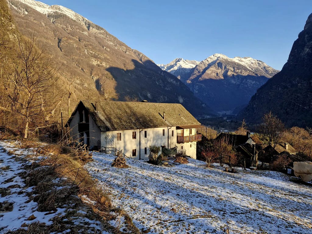 038e7e66 24fe 4271 8d2d 5b0645cc9cb9