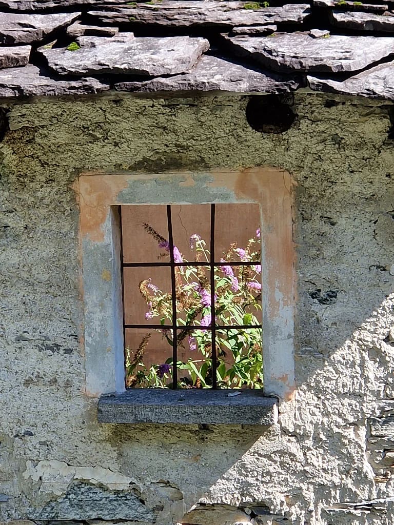 Home 17 20230815 110336