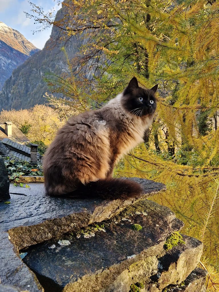 Wohnung N°5 10 20231115 080941