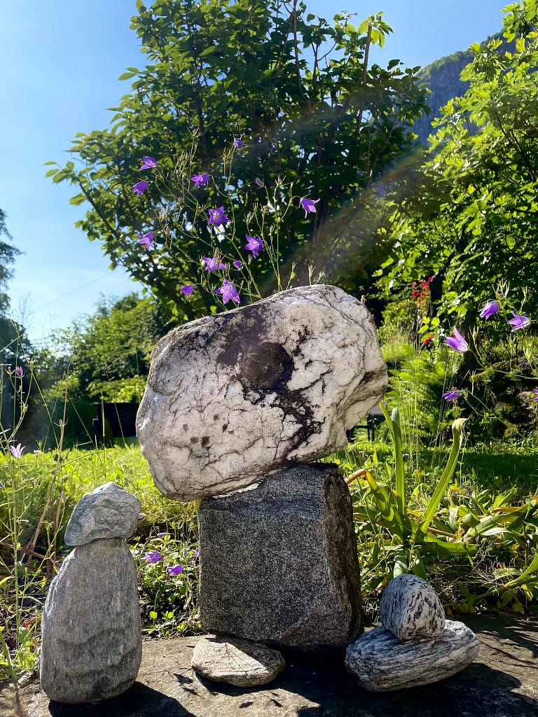 Terrassengarten 7 IMG 3526