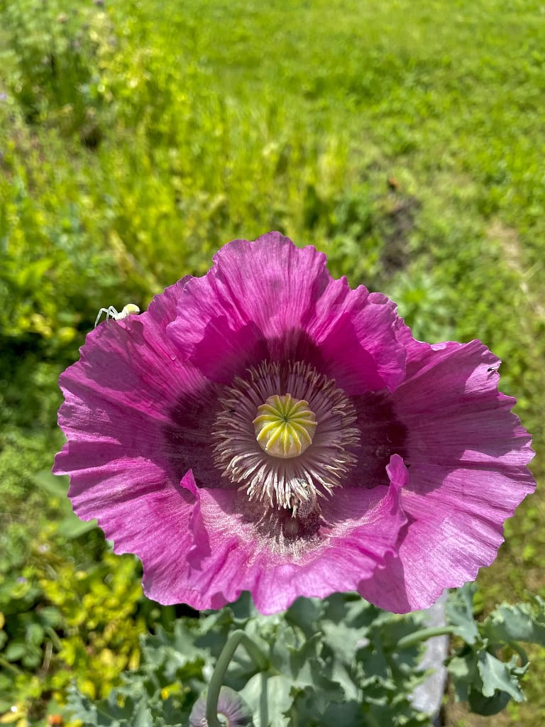 Wohnung N°6 9 IMG 3553