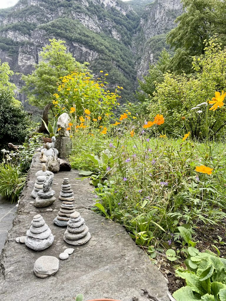 Terrassengarten 4 IMG 4158