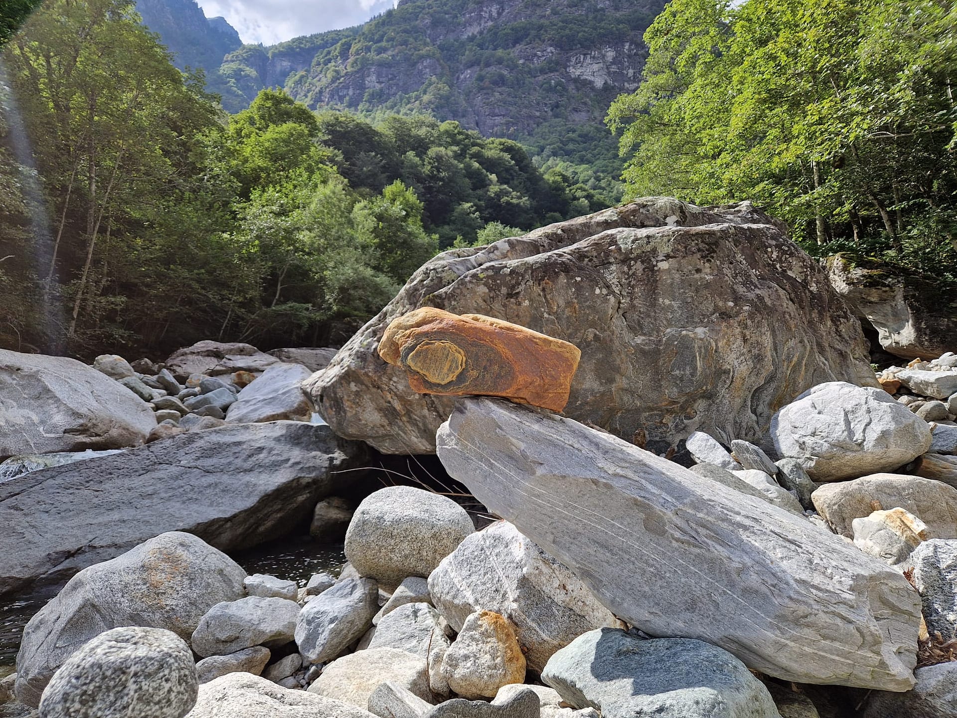 WhatsApp Image 2026 02 08 at 14.34.14 3